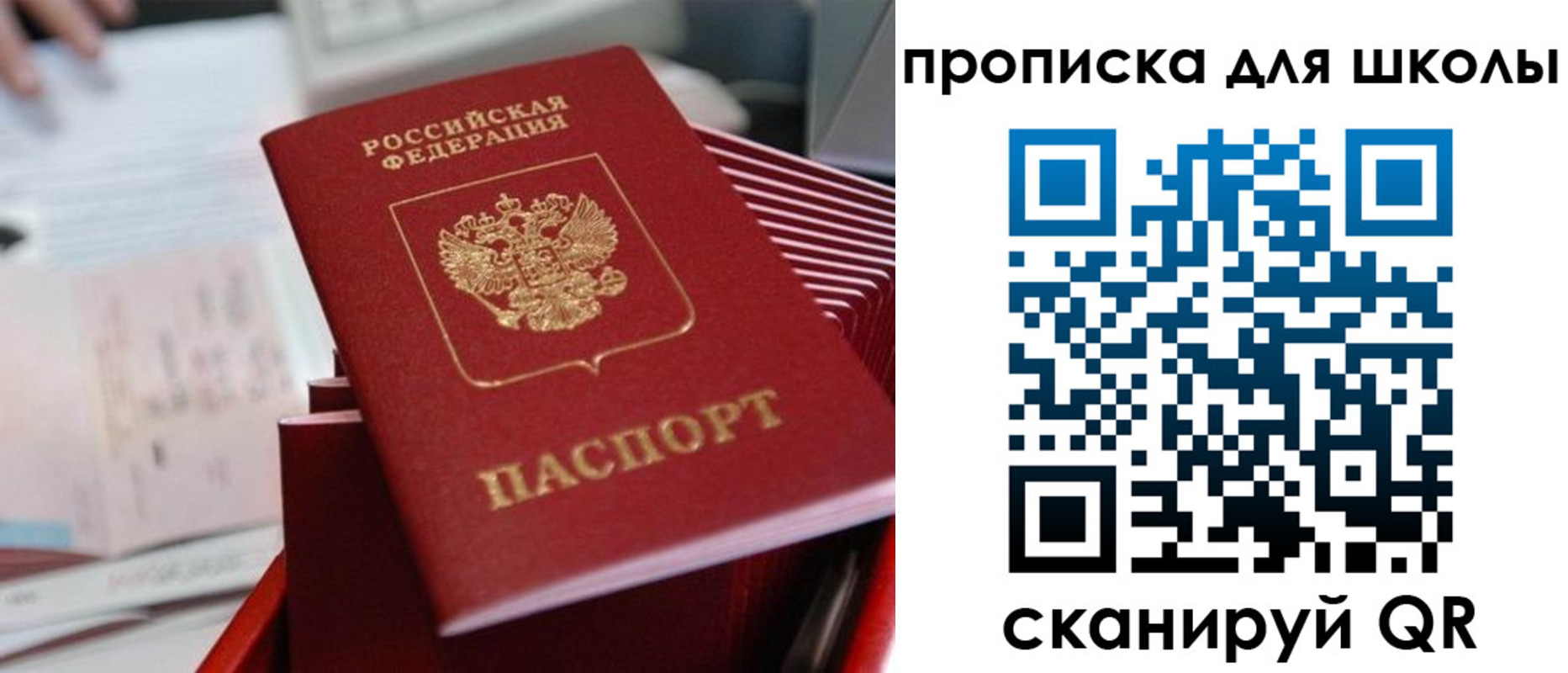прописка для школы в Гатчине
